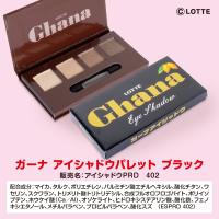 【ブラック】ガーナ　アイシャドウパレット【当社限定】