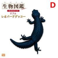 【D】生物図鑑キッズシリーズ　リアルレオパードゲッコー【当社限定】