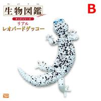 【B】生物図鑑キッズシリーズ　リアルレオパードゲッコー【当社限定】