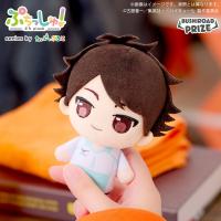 【及川徹】ぷちっしゅ！　ハイキュー!! vol.1