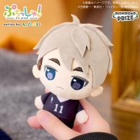 【宮治】ぷちっしゅ！　ハイキュー!! vol.2