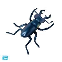 【ミヤマクワガタ】生物図鑑キッズシリーズ　リアルカブトクワガタ9