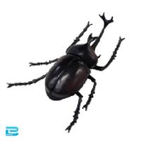 【カブトムシ】生物図鑑キッズシリーズ　リアルカブトクワガタ9