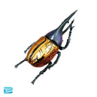 【メタリックヘラクレスオオカブト】生物図鑑キッズシリーズ　リアルカブトクワガタ9