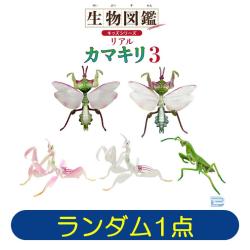 【ランダム発送】生物図鑑キッズシリーズリアルカマキリ３（ＡＦ）