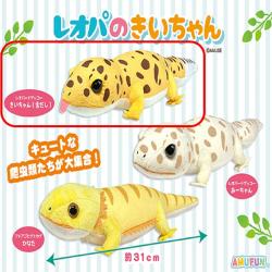 【きいちゃん】レオパのきいちゃん