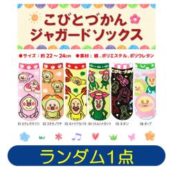 【ランダム発送】こびとづかん　ジャガードソックス