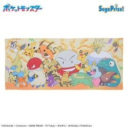 ポケットモンスター　プレミアムおっきいバスタオル〜せいでんき〜