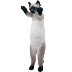 【シャム猫】たっちぃZOOにゃんこ4