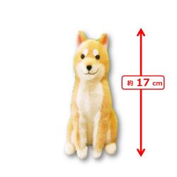 【茶々ノ助】ほっこり柴犬　茶々ノ助