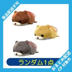 【ランダム発送】カワウソ兄弟　ぬいぐるみマスコット ※景品説明有り