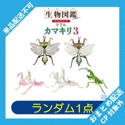 【ランダム発送】生物図鑑キッズシリーズ リアルカマキリ3 ※景品説明有り