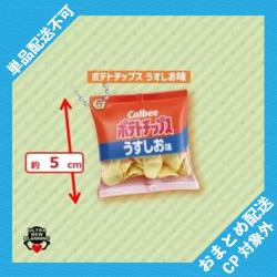 【ポテトチップス うすしお味】カルビー　シャカシャカボールチェーン ※景品説明有り
