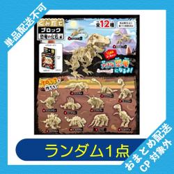 【ランダム発送】くみたてブロック　恐竜の化石編 ※景品説明有り