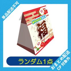 【ランダム発送】おたのしみ福袋2025 ※景品説明有り