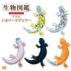 【当社限定】生物図鑑キッズシリーズ　リアルレオパードゲッコー