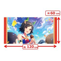 【B:アタシたちのダービー】ウマ娘プリティーダービー　バスタオルvol.3