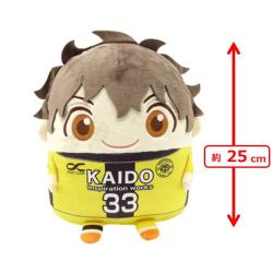 【青井葦人】アオアシ　きゃらころクッション