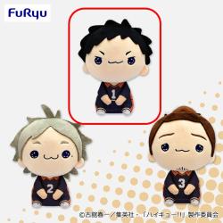 【澤村大地】ハイキュー!!　もちぴこぬいぐるみ⑤