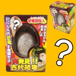 大発見!!古代恐竜