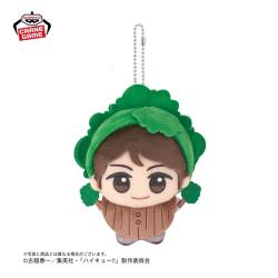 【及川徹】ハイキュー!!　ちびぐるみ〜アニマルポンチョ〜vol.2