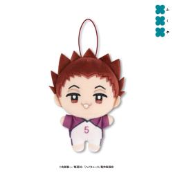 【天童覚】ハイキュー!!　ぬいぷりけmini２