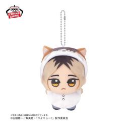 【孤爪研磨】ハイキュー!!　ちびぐるみ〜アニマルポンチョ〜vol.2