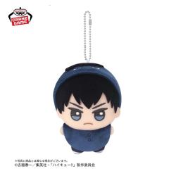 【影山飛雄】ハイキュー!!　ちびぐるみ〜アニマルポンチョ〜vol.2