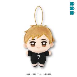 【宮侑】ハイキュー!!　ぬいぷりけmini4