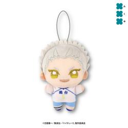 【星海光来】ハイキュー!!　ぬいぷりけmini4