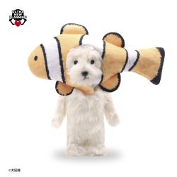 【クマノミ】犬記録　ぬいぐるみマスコット【当社限定】