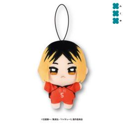 【孤爪研磨】ハイキュー!!　ぬいぷりけmini3