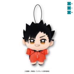 【黒尾鉄朗】ハイキュー!!　ぬいぷりけmini3