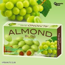 シャインマスカットアーモンドチョコ スライドBOX【2026/09/30】