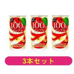 【3本セット】サンガリア果実味わう100%　アップル【2026/11/30】