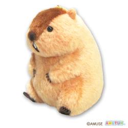 【アー太郎】マーモットのもっとっと　マモ座りLMC