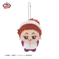 【天童覚】ハイキュー!!　ちびぐるみ〜アニマルポンチョ〜vol.3