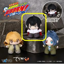 【雲雀恭弥】家庭教師ヒットマンREBORN!　てちぬい 雲雀恭弥＆六道骸＆ディーノ