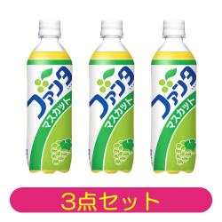 【3本セット】ファンタマスカット 490ml【2026/10/17】
