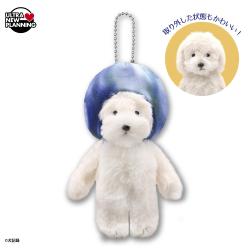 【地球】犬 記録　ぬいぐるみマスコットVol.2【当社限定】