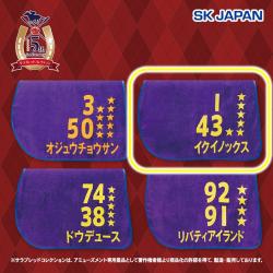 【イクイノックス】サラブレッドコレクション　トレーニングゼッケンバスタオル2