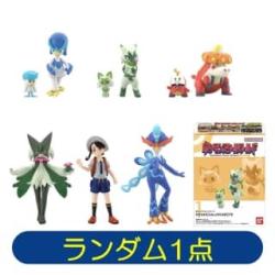 ポケモンスケールワールド パルデア地方▸※景品説明あり