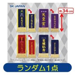 【ランダム発送】サラブレッドコレクション　優勝レイハンドタオル