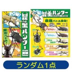 【ランダム発送】昆虫ハンター▸