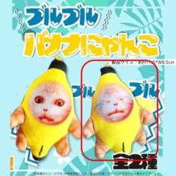 【泣き顔】ブルブルバナナにゃんこ