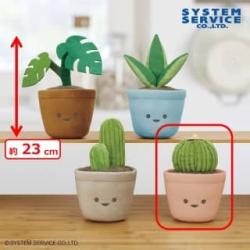 【玉サボテン】FANS　観葉植物ぬいぐるみBIG