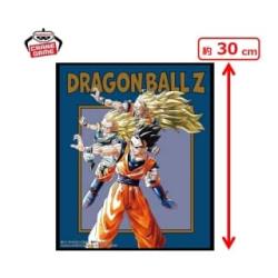 【孫悟空・孫悟飯・ゴテンクス】ドラゴンボール超　アートプレートvol.2