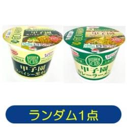 【★★★】【ランダム発送】阪神甲子園球場監修　甲子園カレーラーメン
