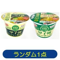 【★★★】阪神甲子園球場監修　甲子園カレーラーメン　※景品説明あり