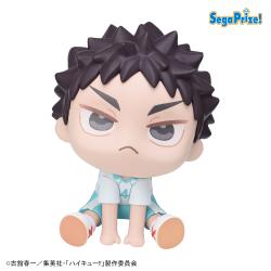 【岩泉一】アニメ「ハイキュー!!」 きゅるみー ミニフィギュア “及川・岩泉”